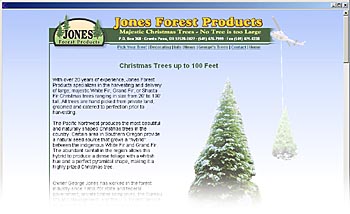 JFP Christmas Trees